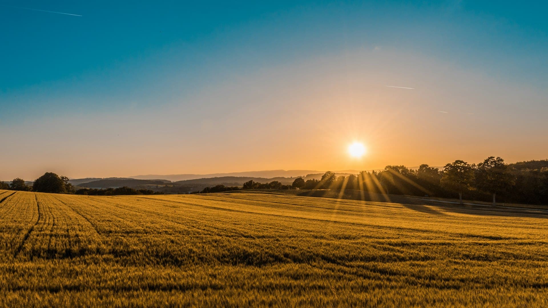 Agriculture Insurance in Kitui, Kenya - Mufasa Insurance